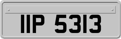 IIP5313