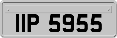 IIP5955