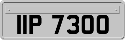 IIP7300