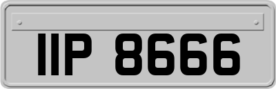 IIP8666
