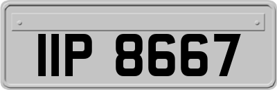 IIP8667