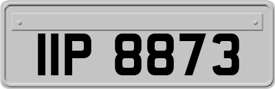 IIP8873