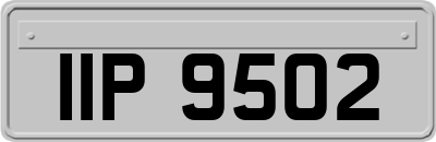 IIP9502