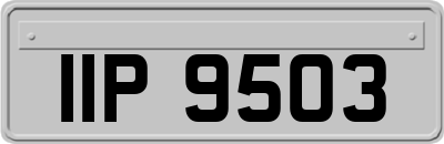 IIP9503