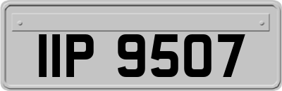 IIP9507