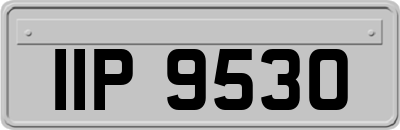 IIP9530