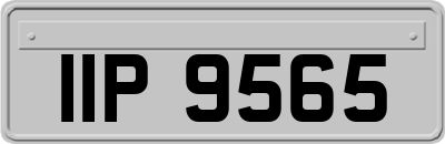 IIP9565