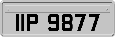 IIP9877