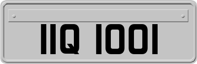 IIQ1001