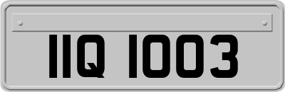 IIQ1003