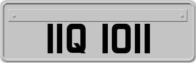 IIQ1011