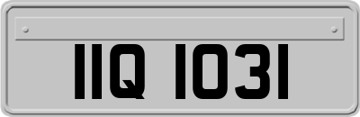IIQ1031