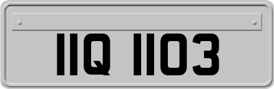 IIQ1103