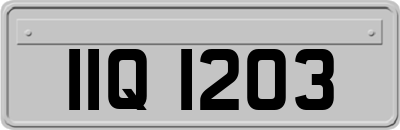IIQ1203