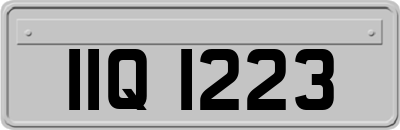 IIQ1223