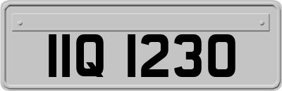 IIQ1230