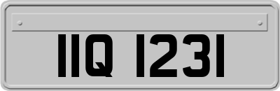 IIQ1231