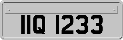 IIQ1233