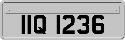 IIQ1236