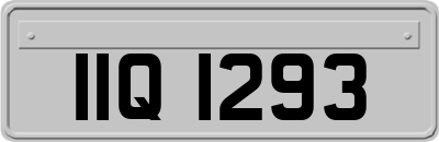 IIQ1293
