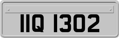 IIQ1302