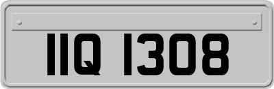 IIQ1308