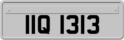 IIQ1313