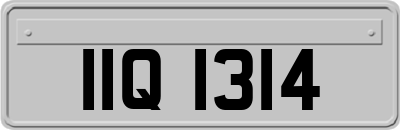 IIQ1314