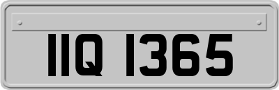 IIQ1365