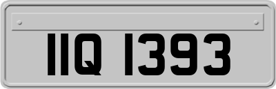 IIQ1393