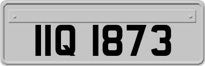 IIQ1873