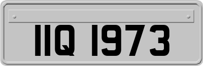 IIQ1973
