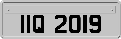IIQ2019