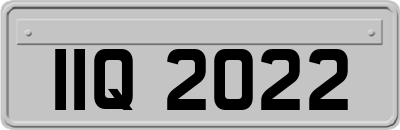 IIQ2022