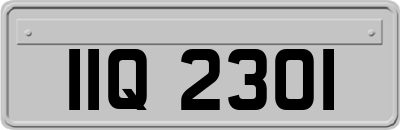 IIQ2301