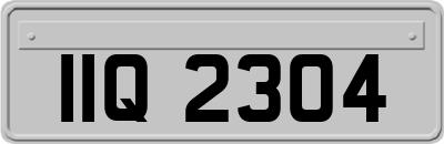 IIQ2304
