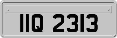 IIQ2313