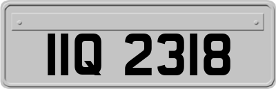 IIQ2318