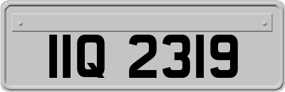 IIQ2319