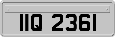 IIQ2361