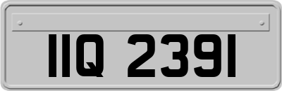 IIQ2391
