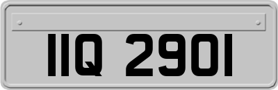 IIQ2901