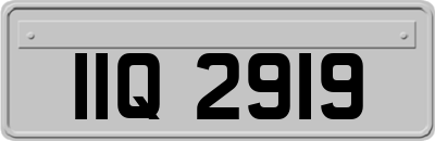 IIQ2919