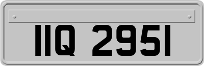 IIQ2951