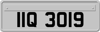 IIQ3019