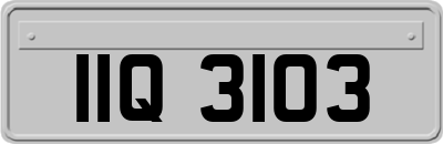 IIQ3103