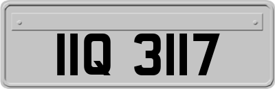 IIQ3117