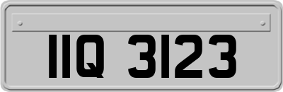 IIQ3123