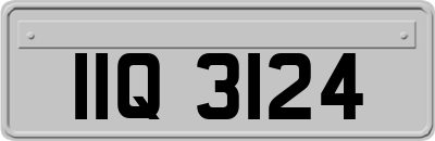 IIQ3124