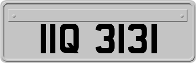 IIQ3131